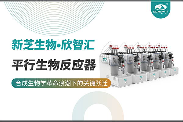 培养菌株和评估工艺参数影响太难太慢？平行生物反应器提供关键解决方案！