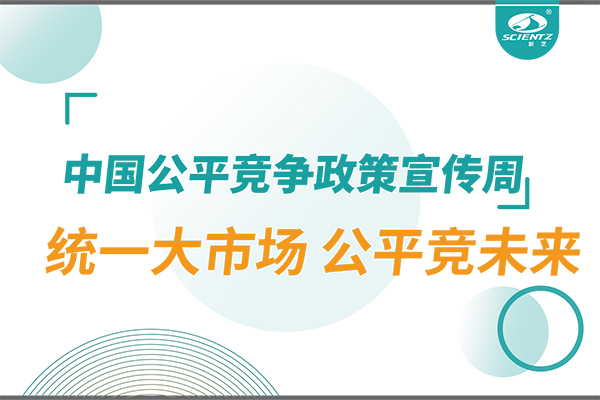 2025年中国公平竞争政策宣传周：统一大市场 公平竞未来