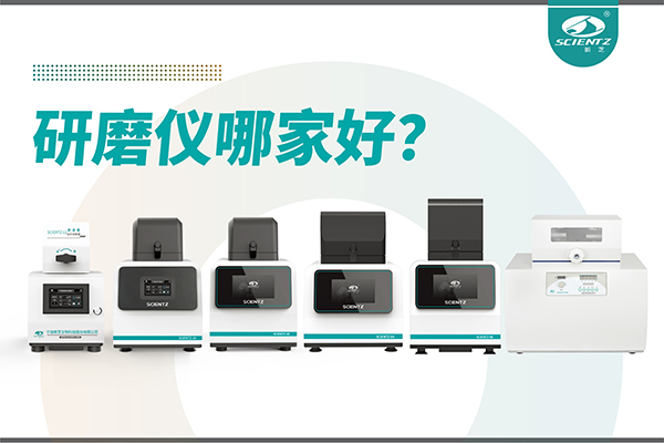 研磨仪哪家好？宁波华人策略社区生物研磨仪厂家专注样品处理
