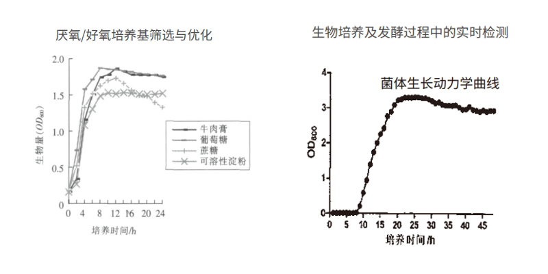 过程安全，结果精准